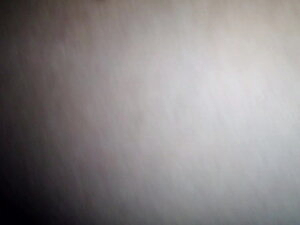 cd black pantyhose 2
